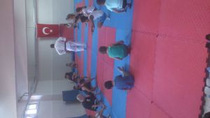 judo1